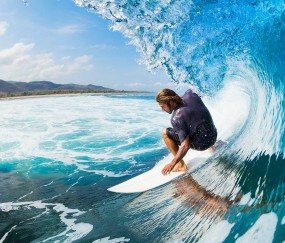 开云体育在线-米切尔刷新纪录之夜，上海大鲨鱼如何撕碎黄蜂的团队篮球？