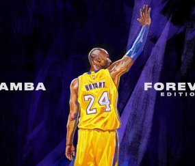 开云体育中国-森林狼掀翻太阳，乔治成为关键先生