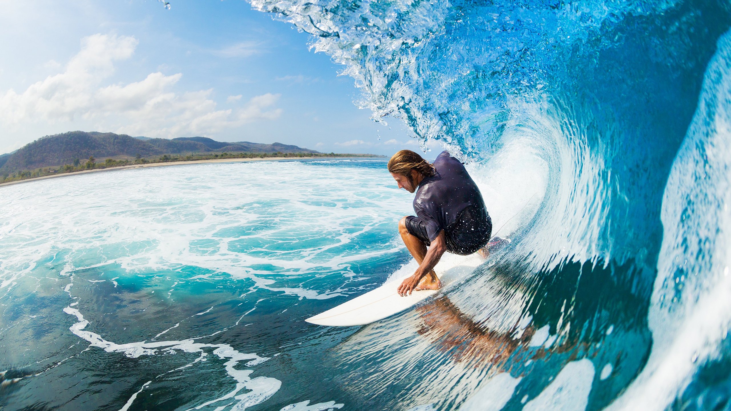 米切尔刷新纪录之夜，上海大鲨鱼如何撕碎黄蜂的团队篮球？